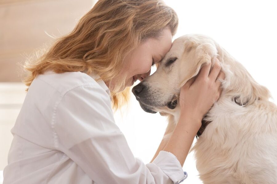 ออกแบบบ้านภายในสำหรับคนรักสัตว์เลี้ยง