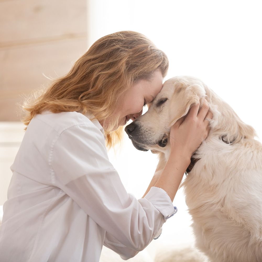 ออกแบบบ้านภายในสำหรับคนรักสัตว์เลี้ยง