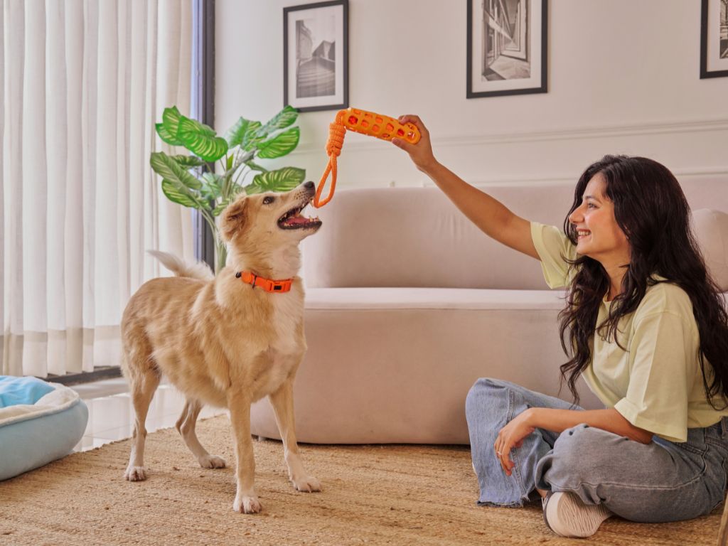 ออกแบบพื้นที่เฉพาะสำหรับสัตว์เลี้ยง